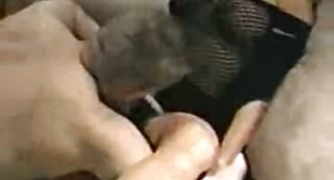 রাশিয়ান মেয়ে প্রবেশদ্বারে বাঁড়া চুষে. সোফি ভিডিও সেক্স ইংলিশ বেবের সাথে অশ্লীল ভিডিও।