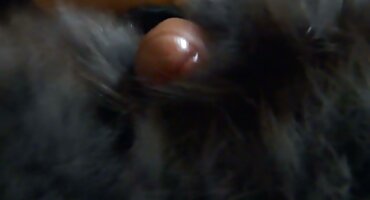 একটি কালো চামড়ার huyasty মানুষ বছরের মধ্যে একটি মহিলার ইংলিশ নিউ সেক্স ভিডিও রোপণ